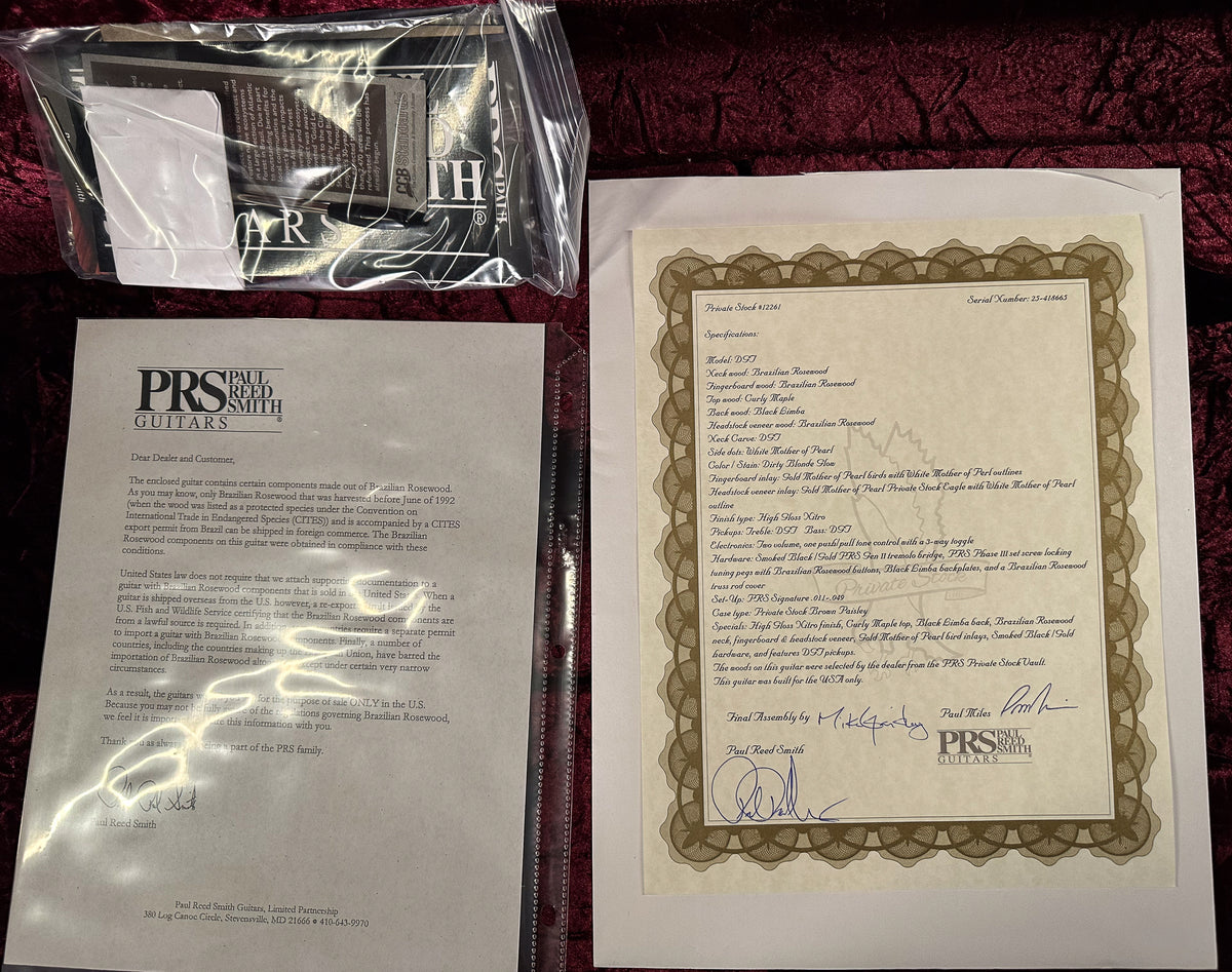 PRS Private Stock 12261 DGT Dirty Blonde Glow Brazilian Rosewood neck (665)