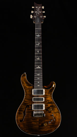 PRS Special Semi-Hollow Tiger Eye (250)