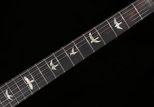 PRS DGT 10 top Tiger Eye (391)