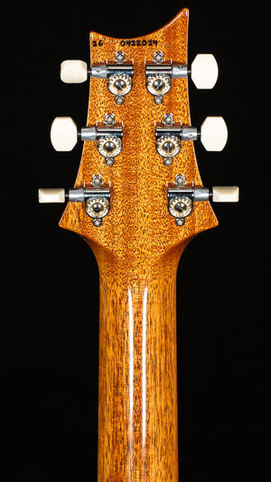 PRS DGT Tiger Eye (024)