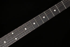 PRS DGT Tiger Eye (024)