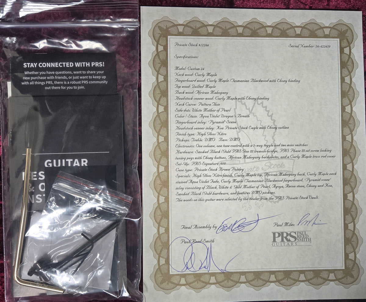 PRS Private Stock 12266 Custom 24 Aqua Violet Dragon's Breath Pyramid Inlay (659)