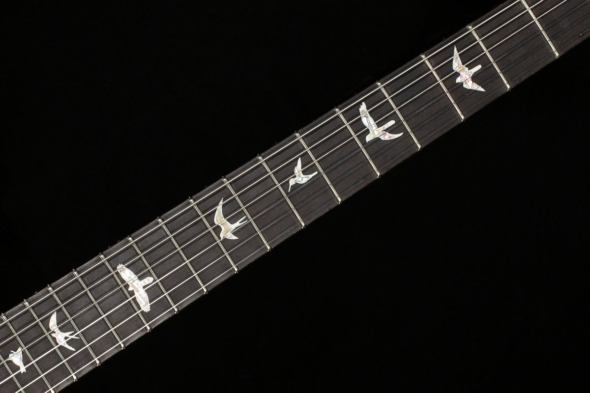 PRS Custom 24 Floyd Tiger Eye 10 Top (082)