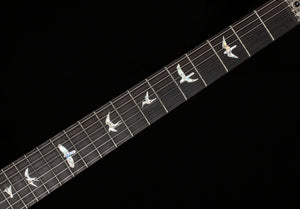 PRS Custom 24 Floyd Black Rainbow Holoflake Top & Binding (800)