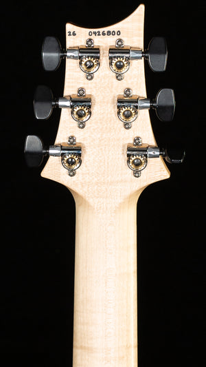 PRS Custom 24 Floyd Black Rainbow Holoflake Top & Binding (800)