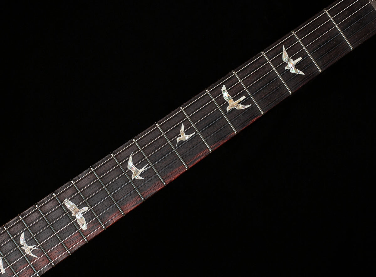 PRS Special Semi-Hollow Aurora Borealis 10 Top (645)