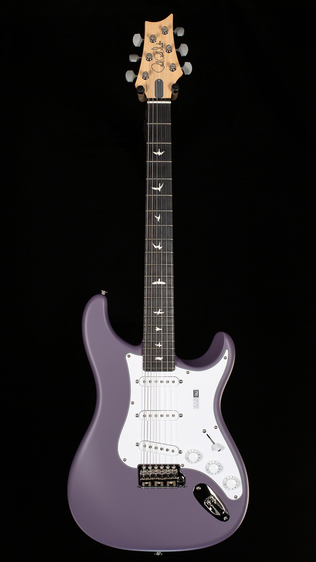 PRS Silver Sky Satin Black Plum (261)