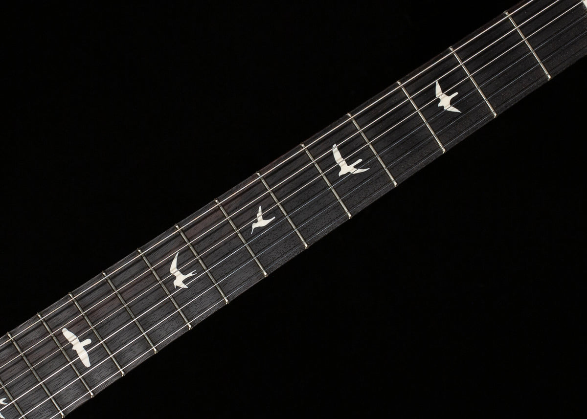 PRS Silver Sky Satin Black Plum (261)