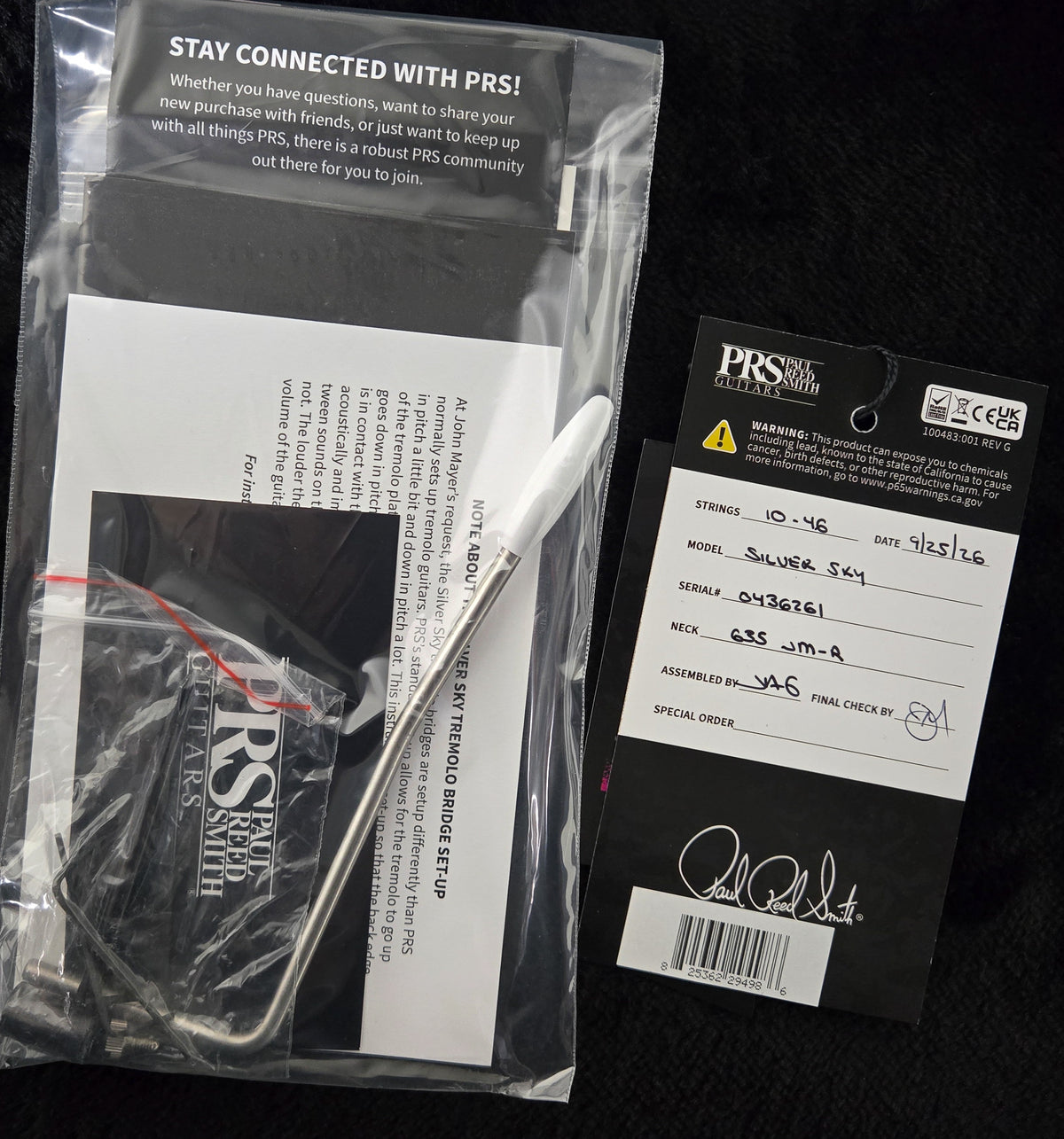 PRS Silver Sky Satin Black Plum (261)