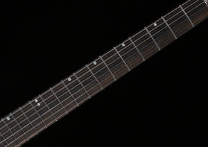 PRS Tekton Floyd Solid Alder body White Holoflake (415)
