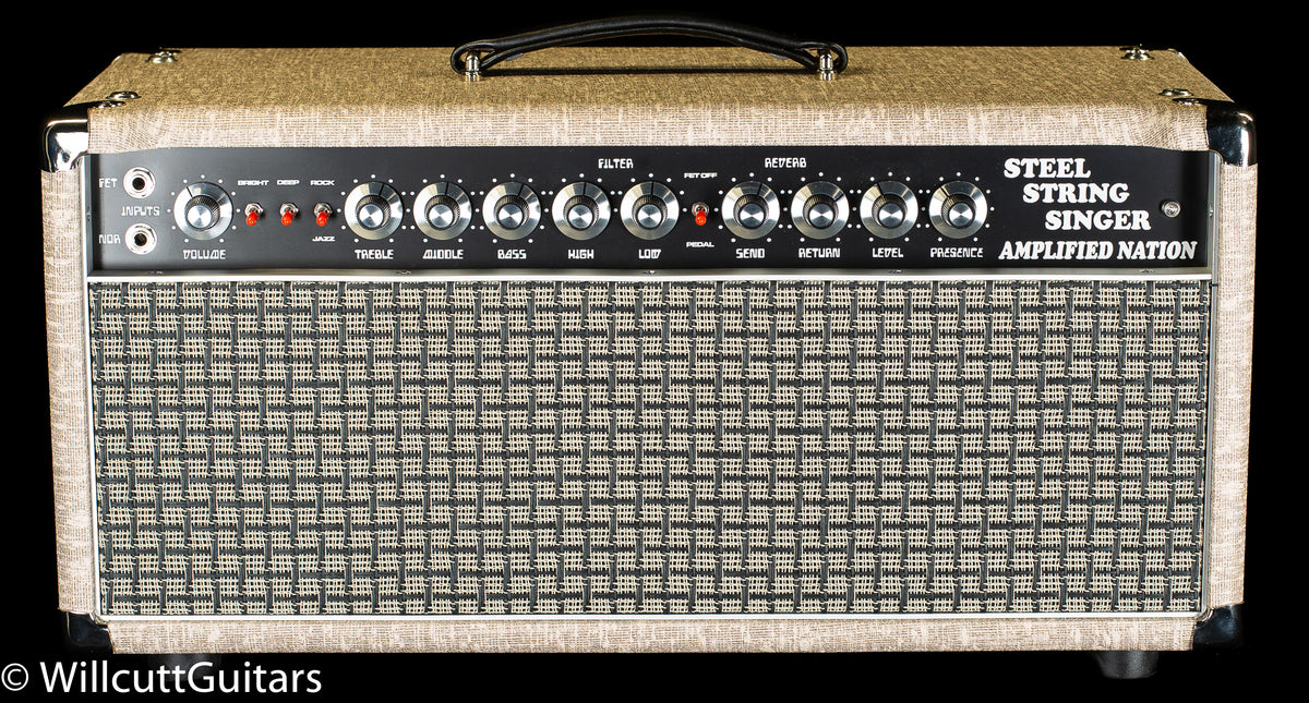 Amplified Nation Steel String Singer 50W Head Fawn/Check