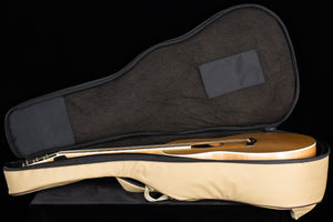 2006 Parkwood PW-340FM