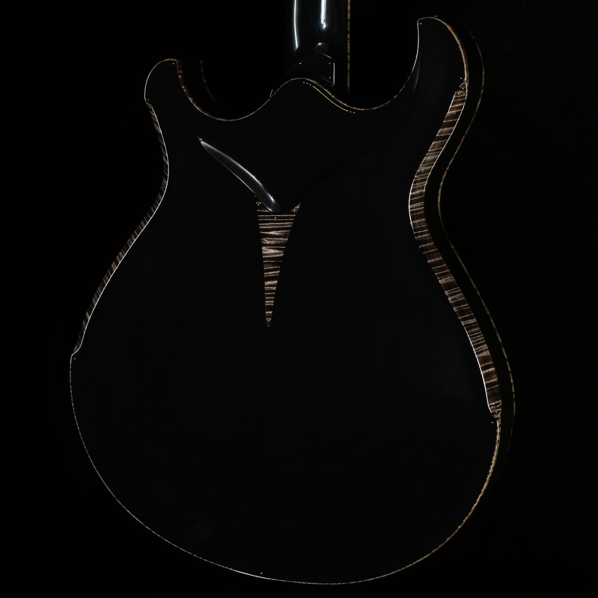 Artinger Hollow Blackie Lawless Trans Black (K23)