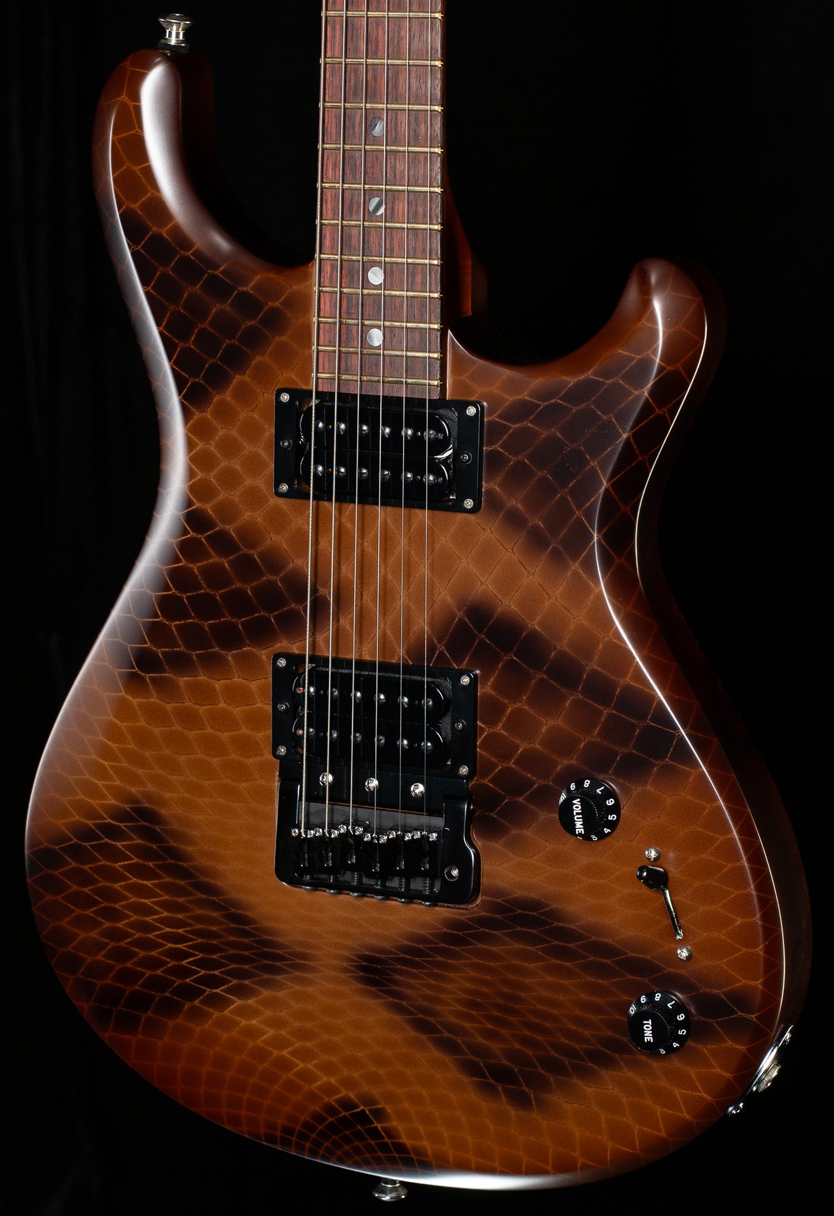 Knaggs Chesapeake Severn X Trembuck Diamonback Rattlesnake (080)