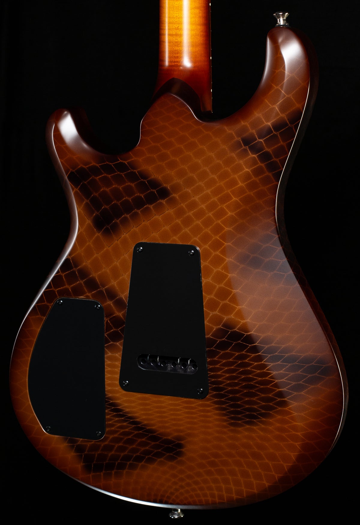 Knaggs Chesapeake Severn X Trembuck Diamonback Rattlesnake (080)