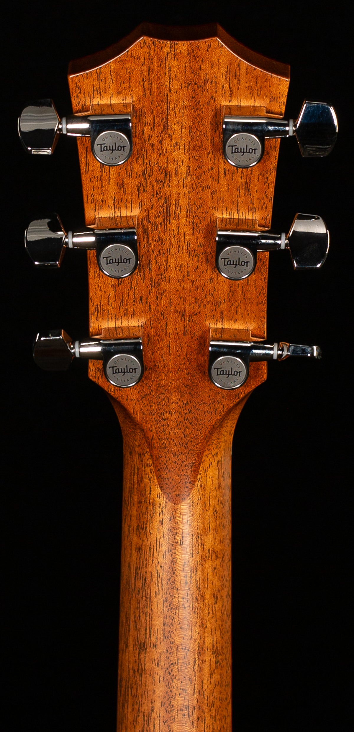 Taylor Custom 10595 Grand Concert Laurelwood (109)