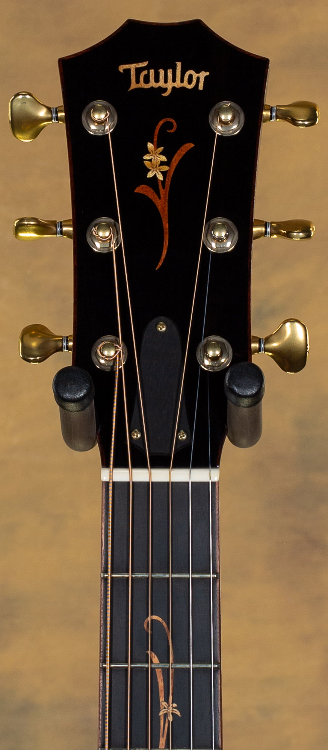 2014 Taylor K-28e AA top