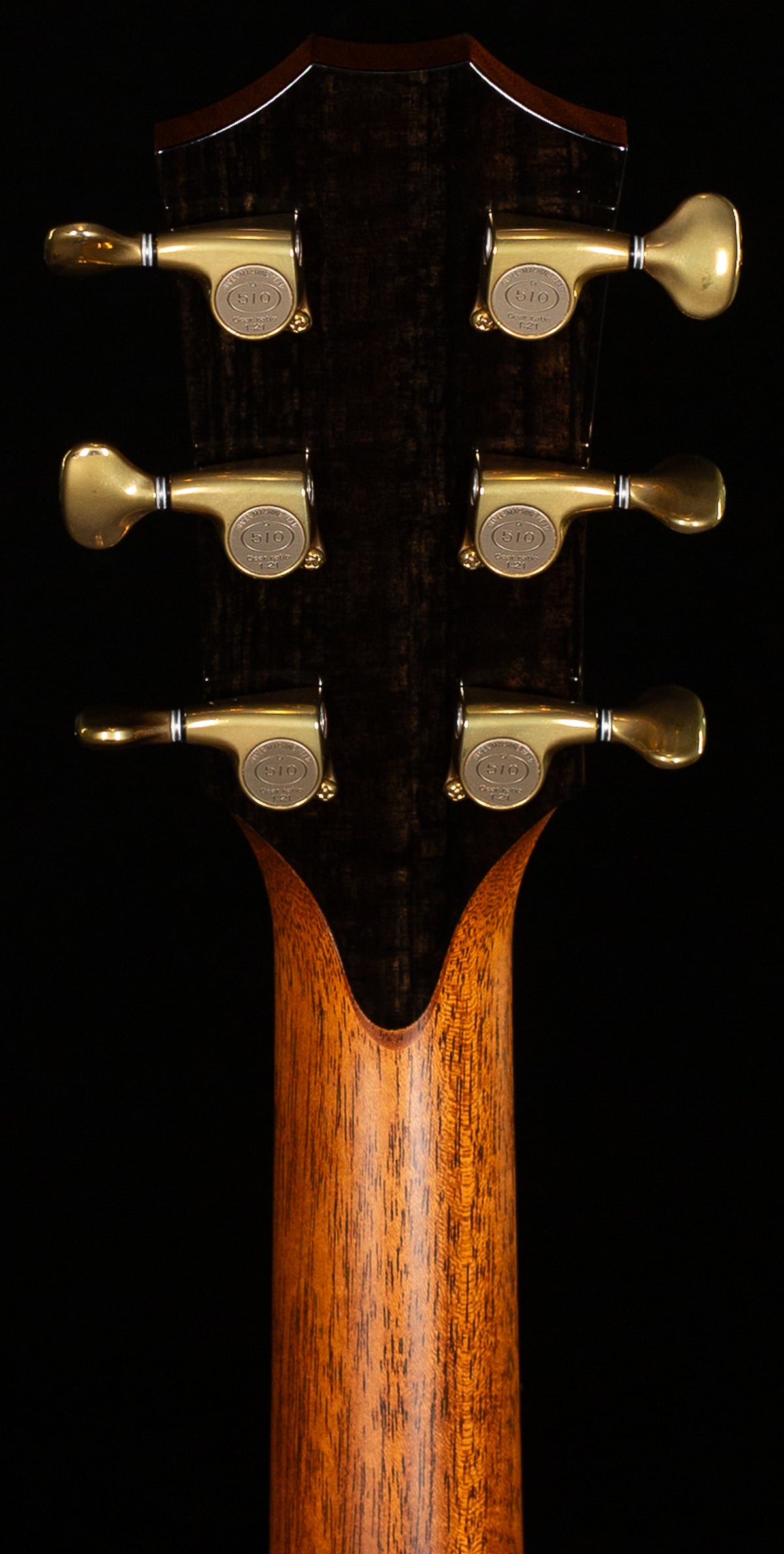 2019 Taylor 912ce Grand Concert (098)