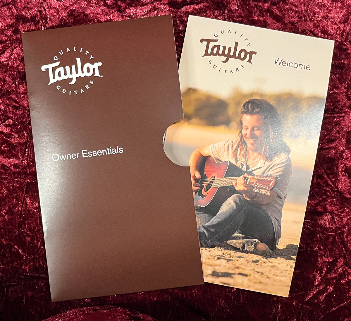 2019 Taylor 912ce Grand Concert (098)