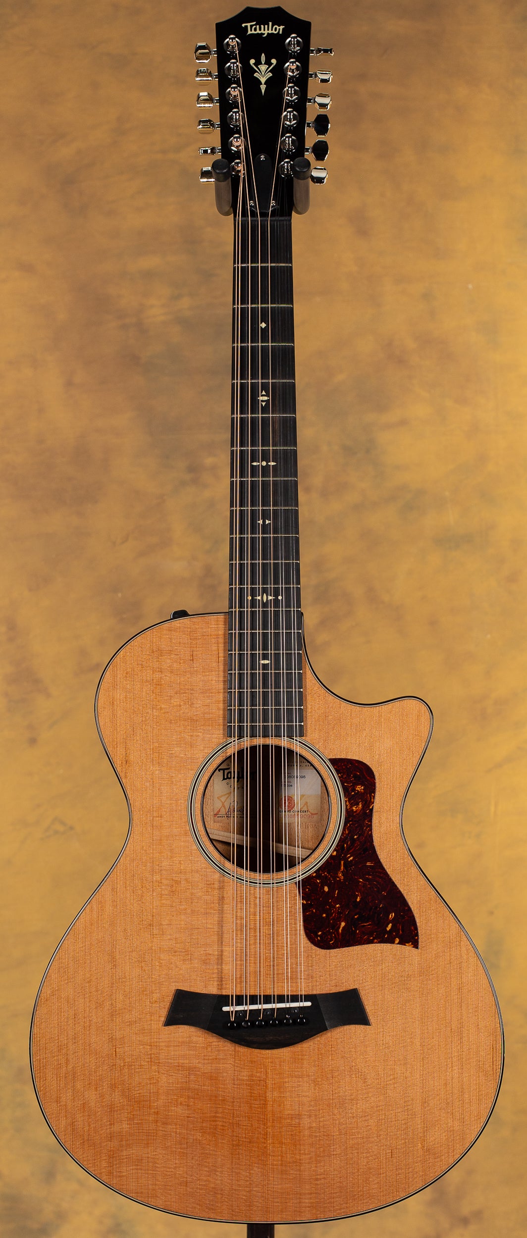 2019 Taylor 552ce 12-String V-Class