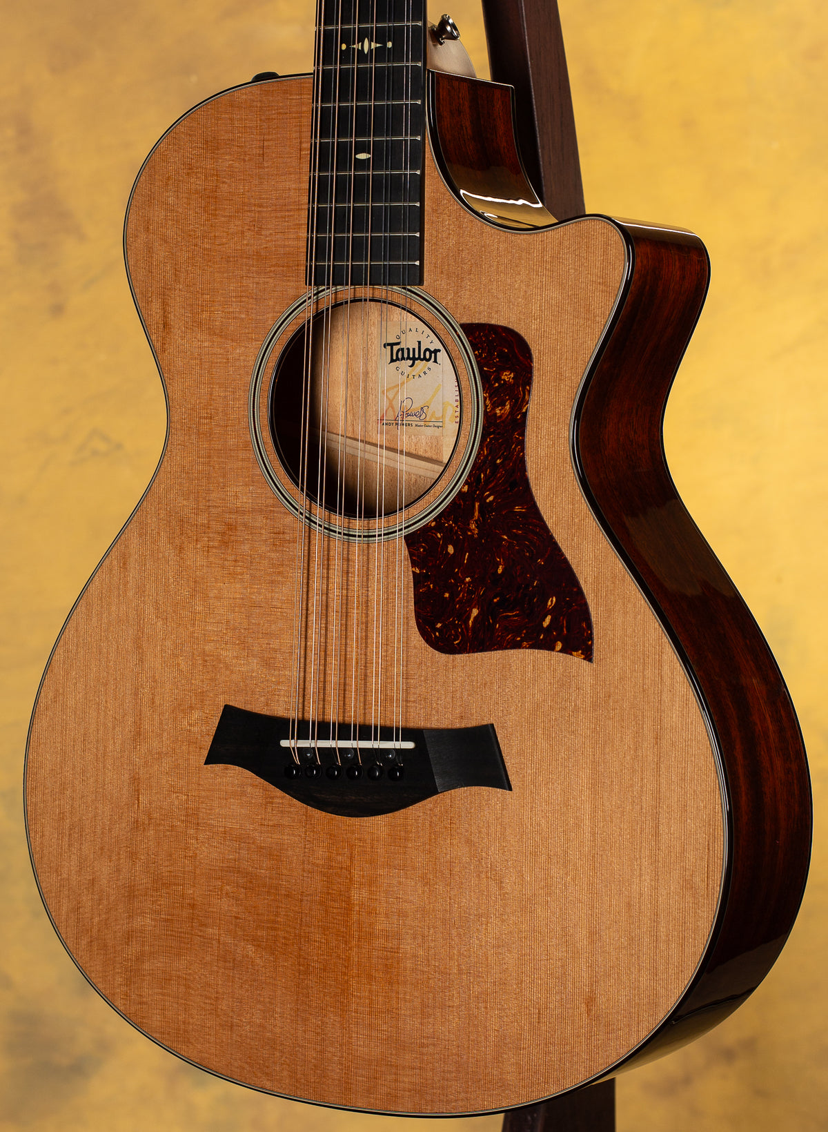 2019 Taylor 552ce 12-String V-Class