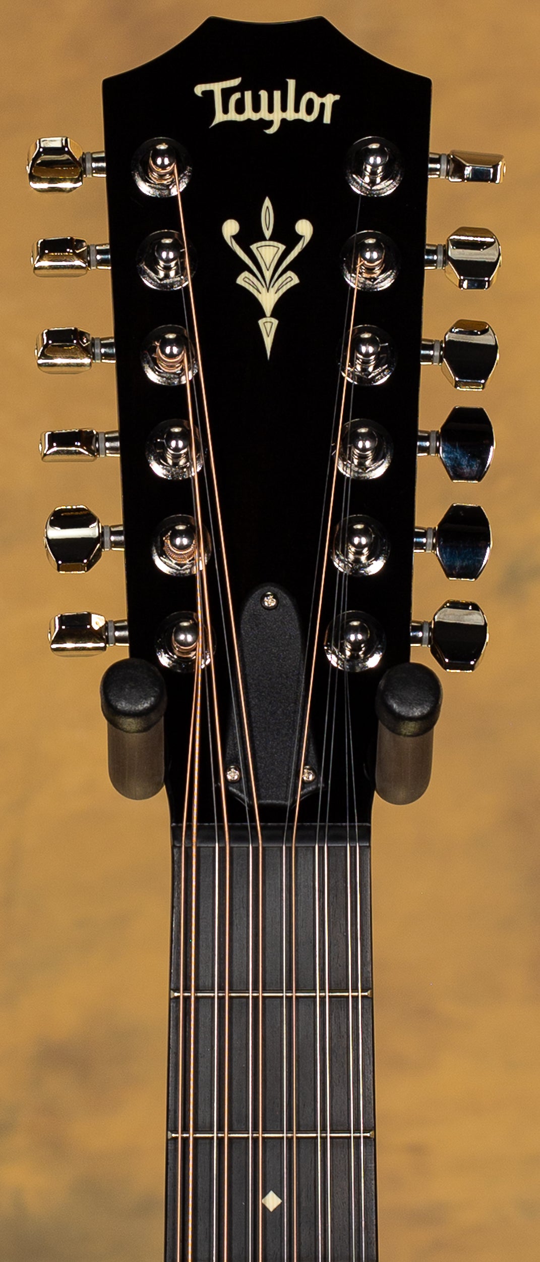 2019 Taylor 552ce 12-String V-Class