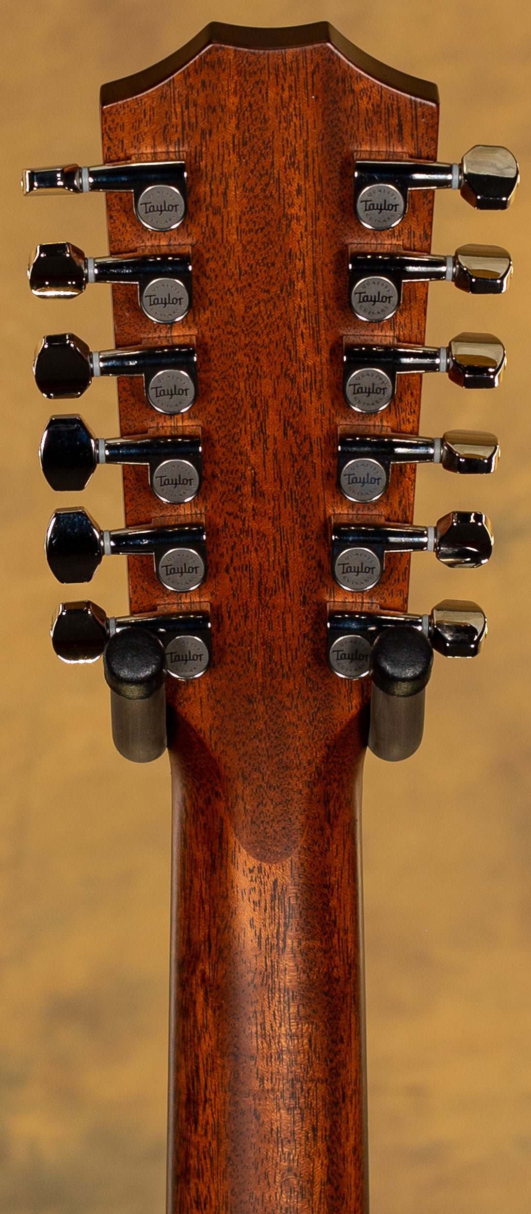 2019 Taylor 552ce 12-String V-Class