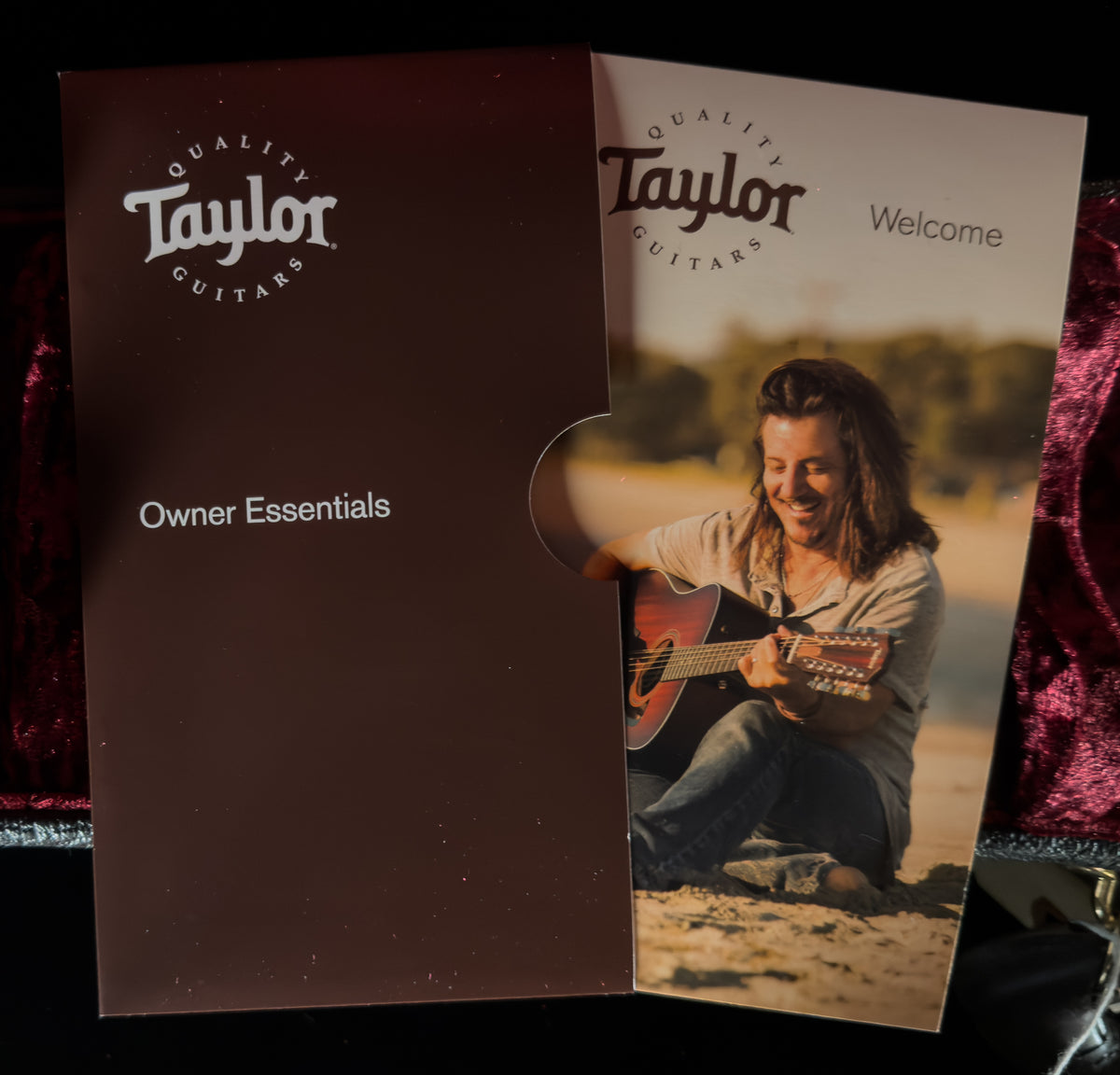 2019 Taylor 552ce 12-String V-Class