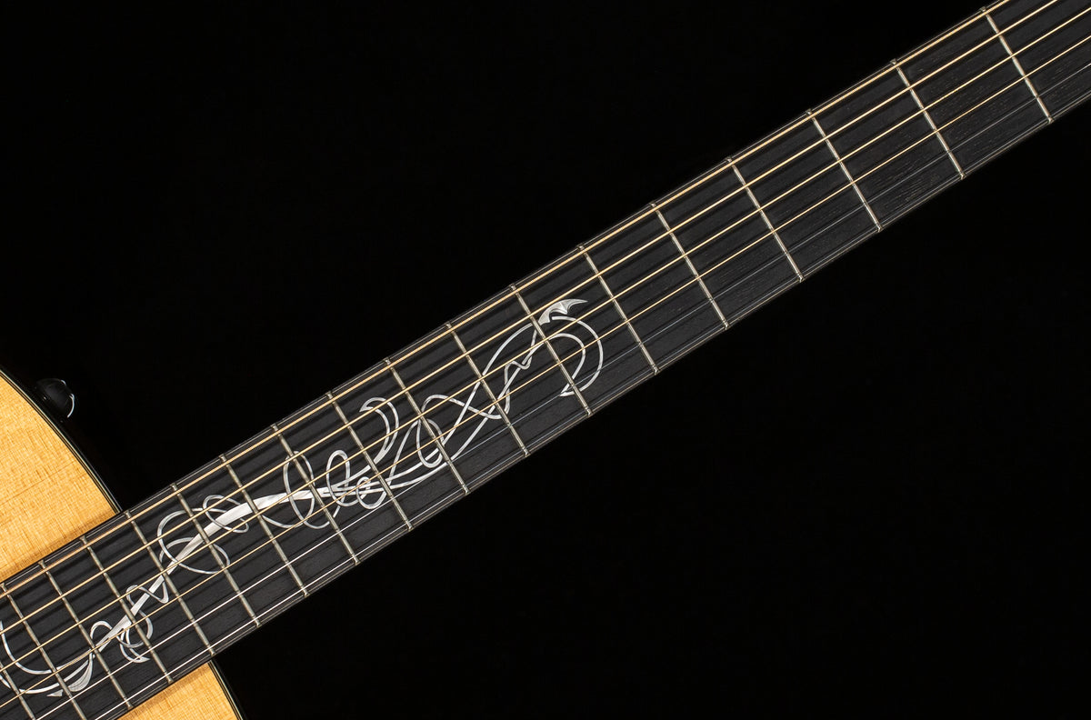 Taylor GSce 2010 Fall Limited (148)