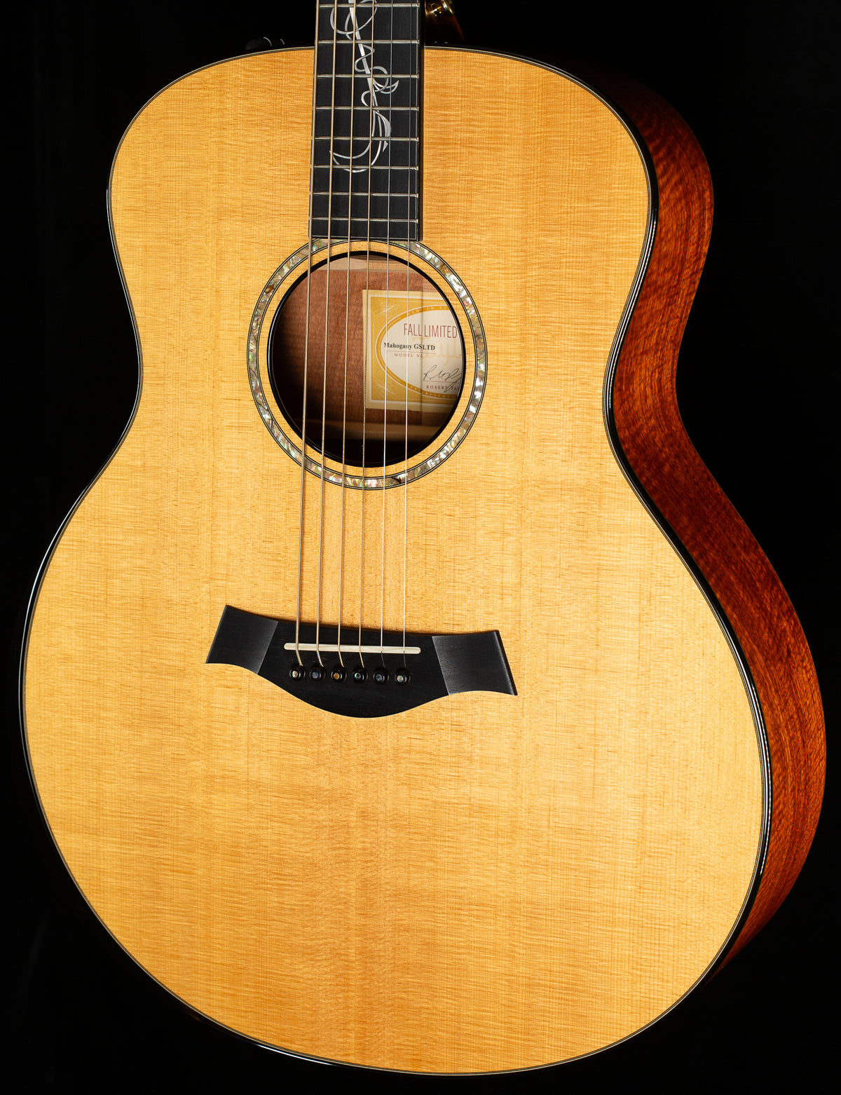 Taylor GSce 2010 Fall Limited (148)