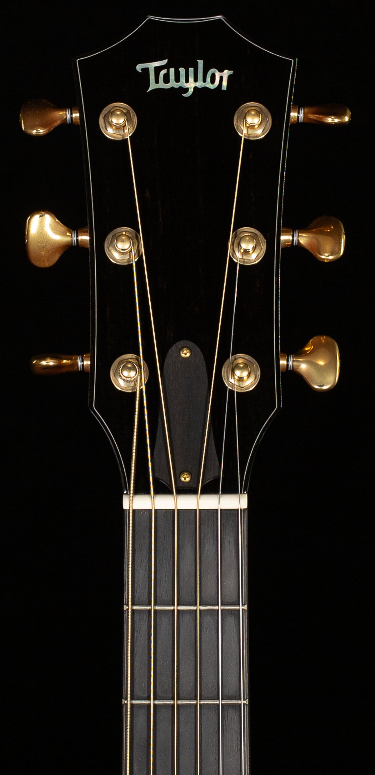 Taylor GSce 2010 Fall Limited (148)