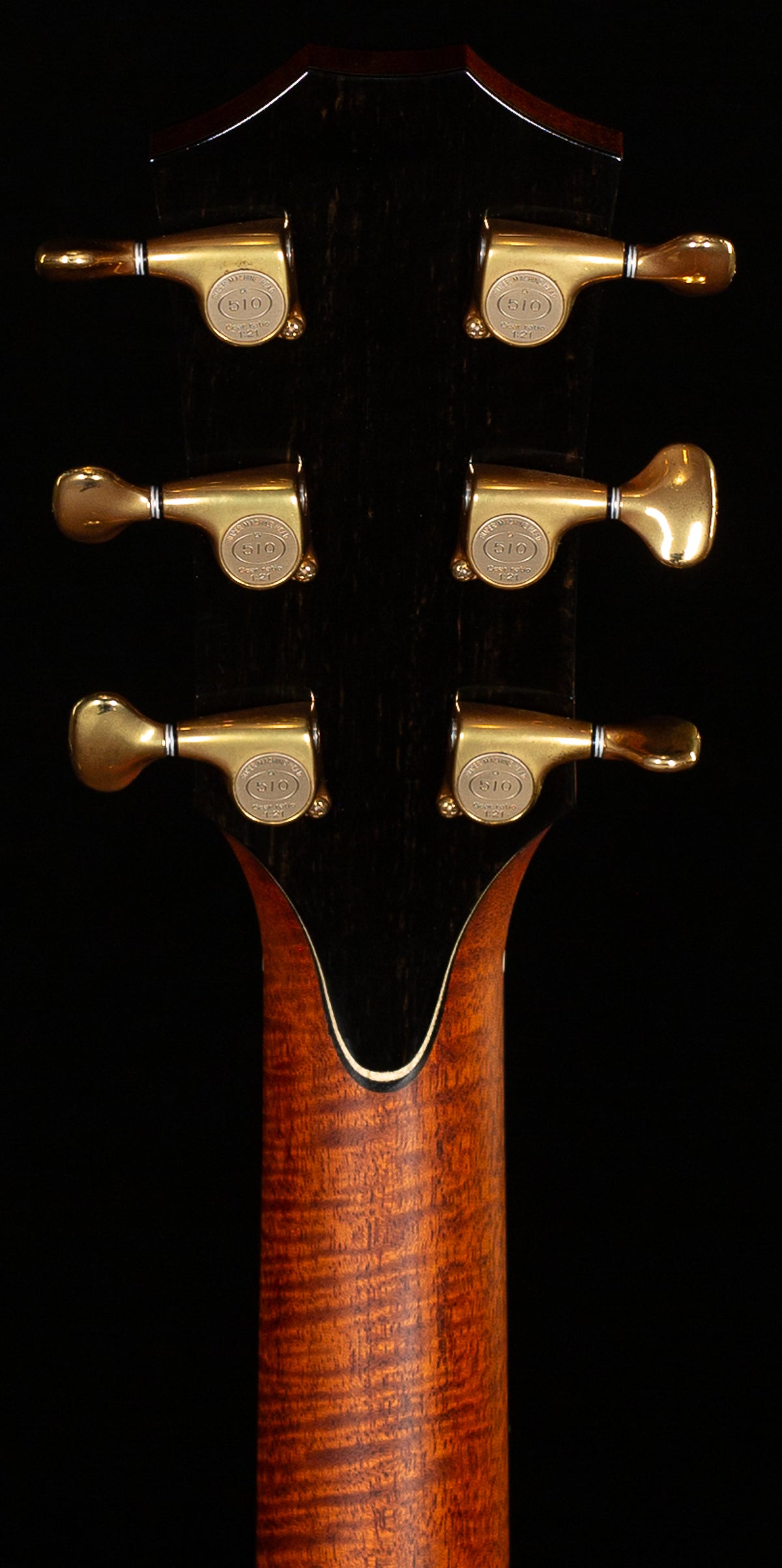 Taylor GSce 2010 Fall Limited (148)