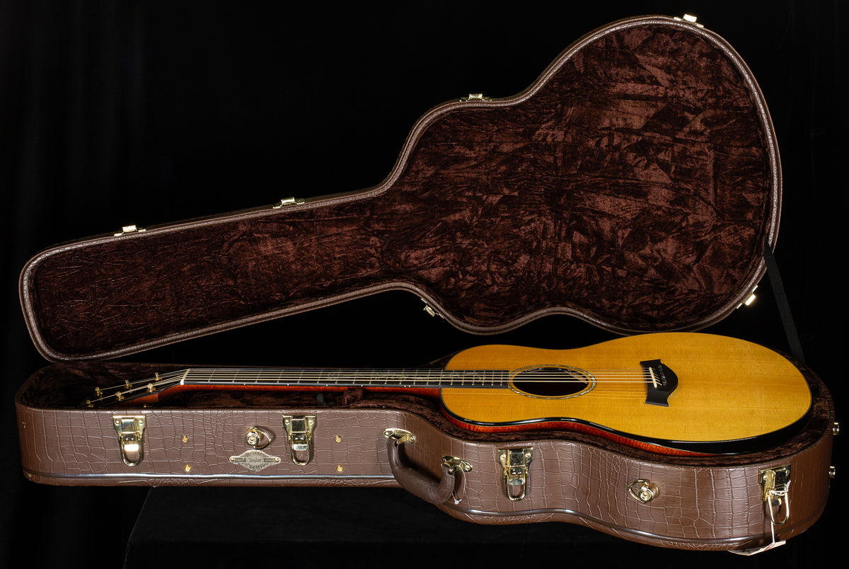 Taylor GSce 2010 Fall Limited (148)