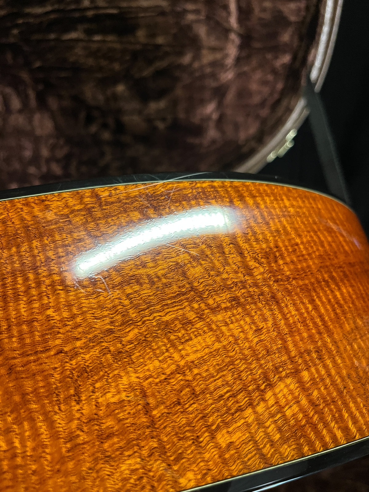 Taylor GSce 2010 Fall Limited (148)