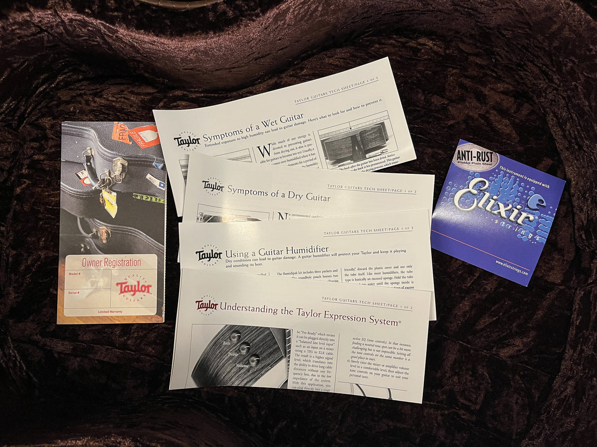 Taylor GSce 2010 Fall Limited (148)