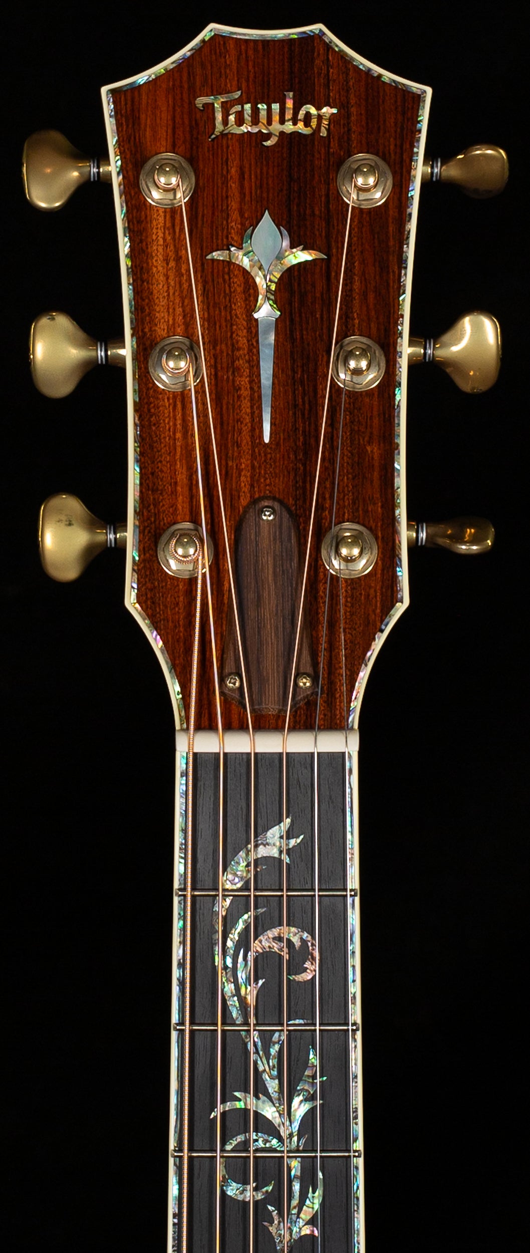 Taylor Custom TF 10033 Grand Concert Bolivian Rosewood