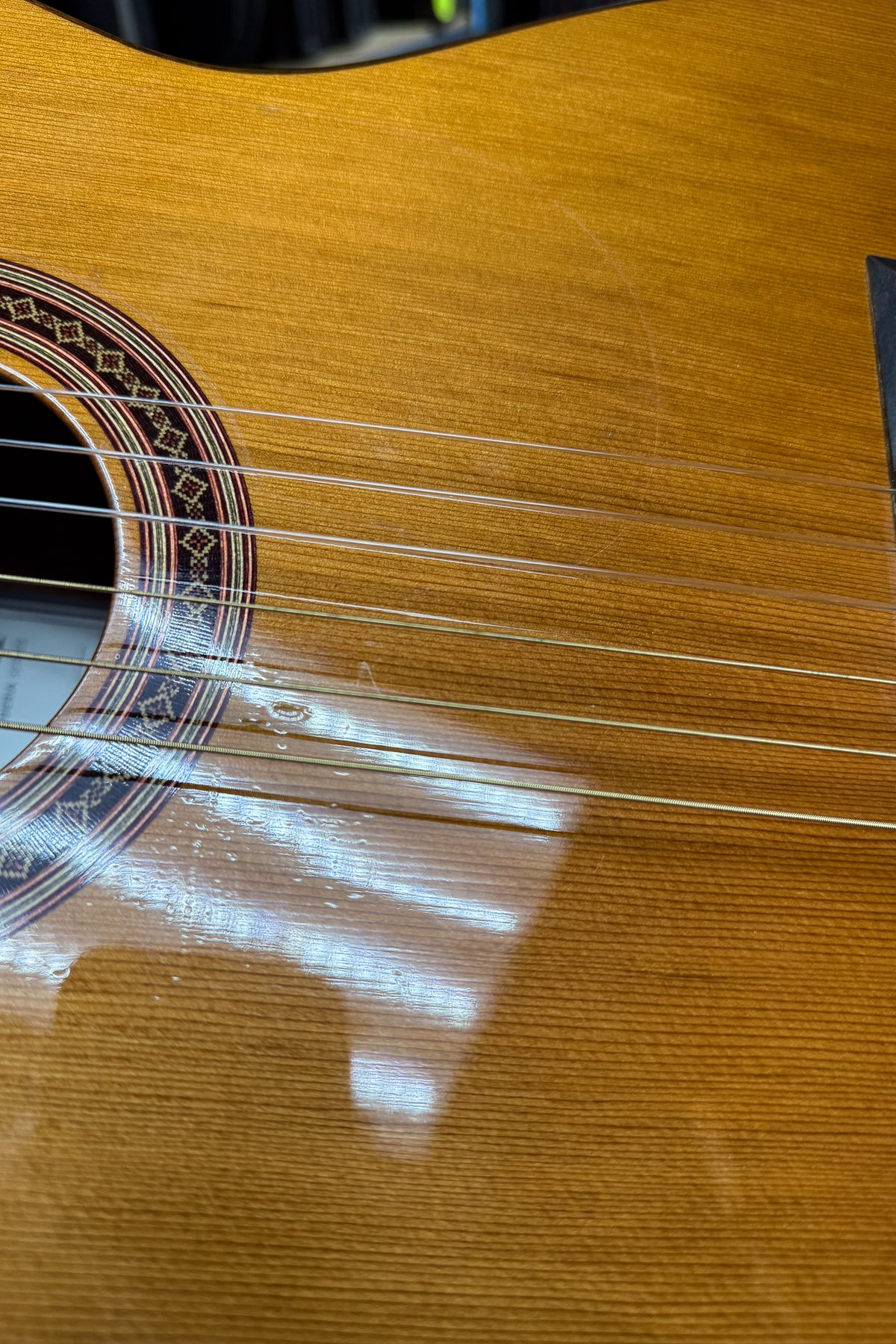 Cordoba C5-CE Classical Guitar