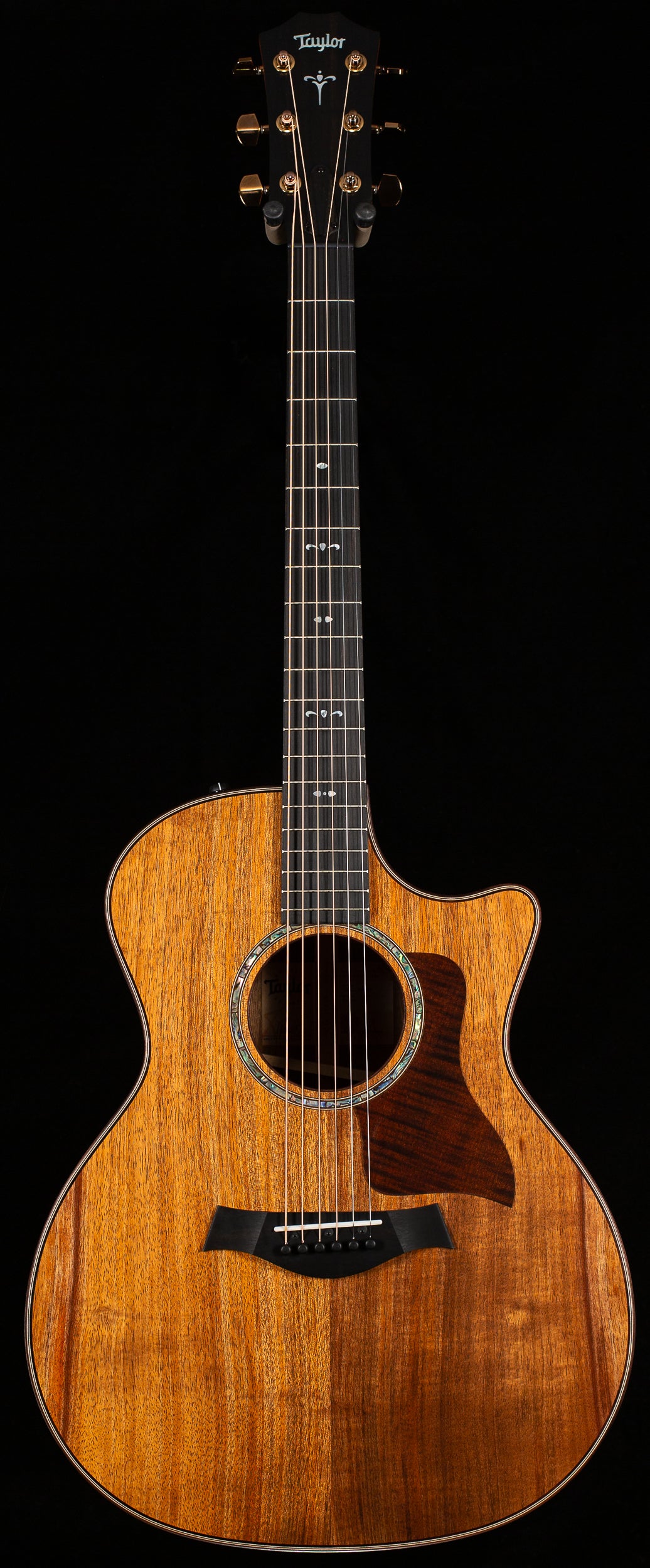 Taylor 724ce Koa/Koa (037)