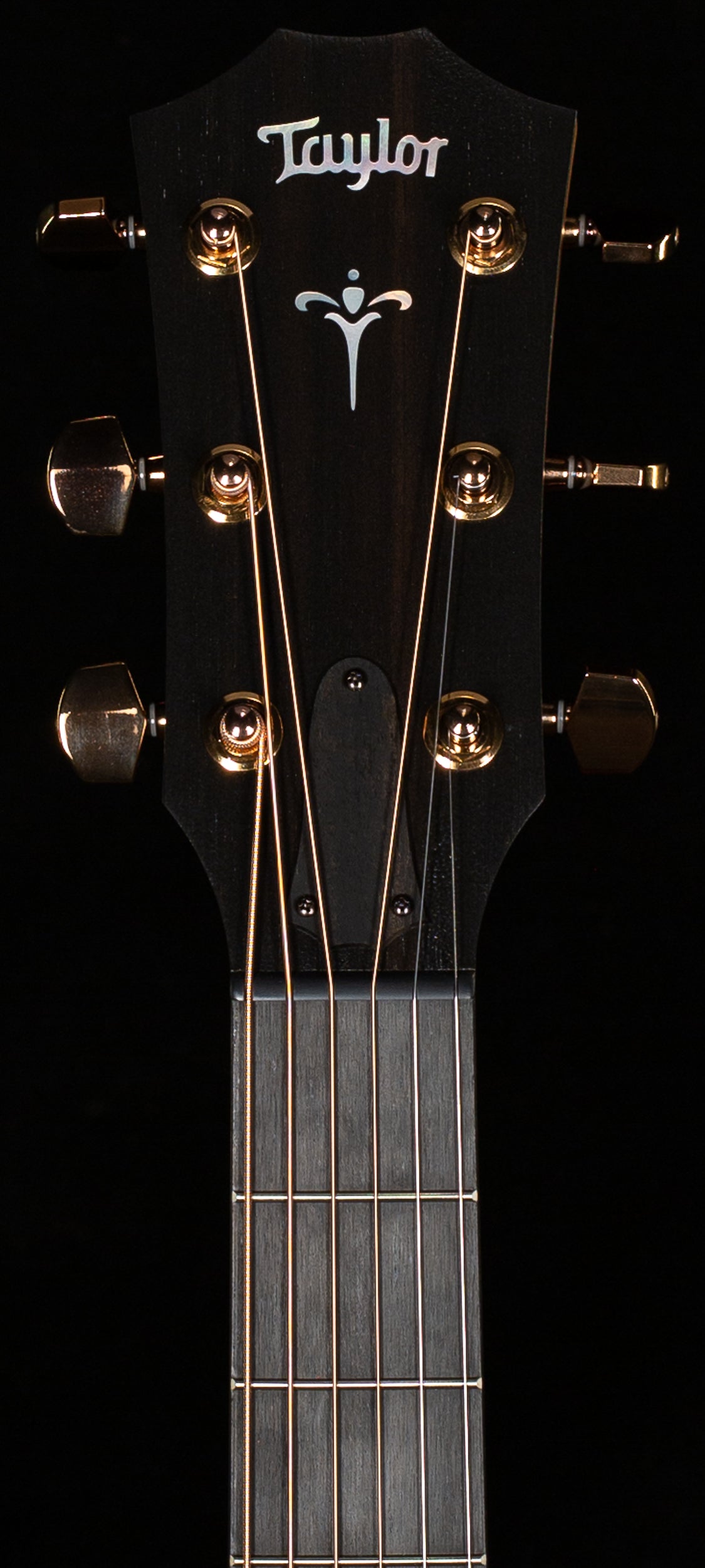 Taylor 724ce Koa/Koa (037)