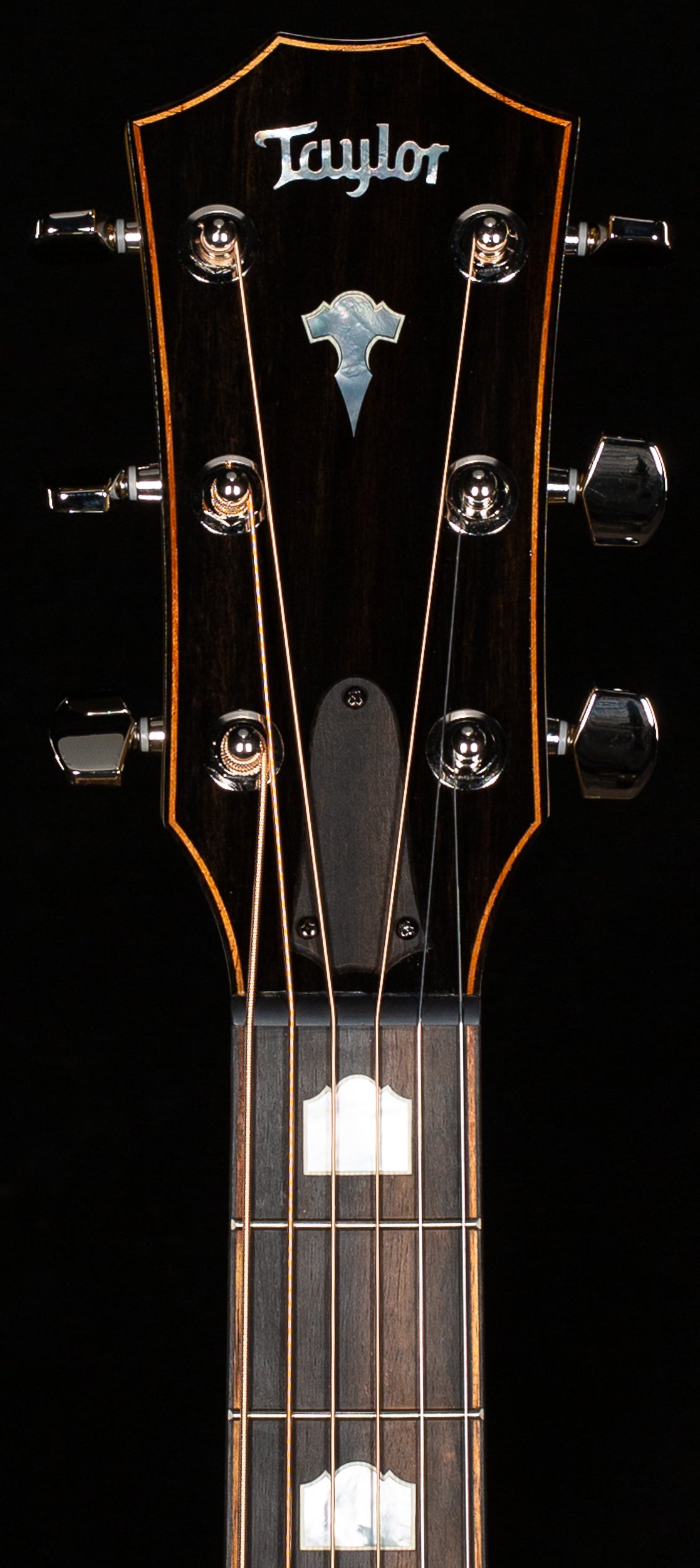 Taylor 618e Grand Orchestra V-Class Bracing (029)