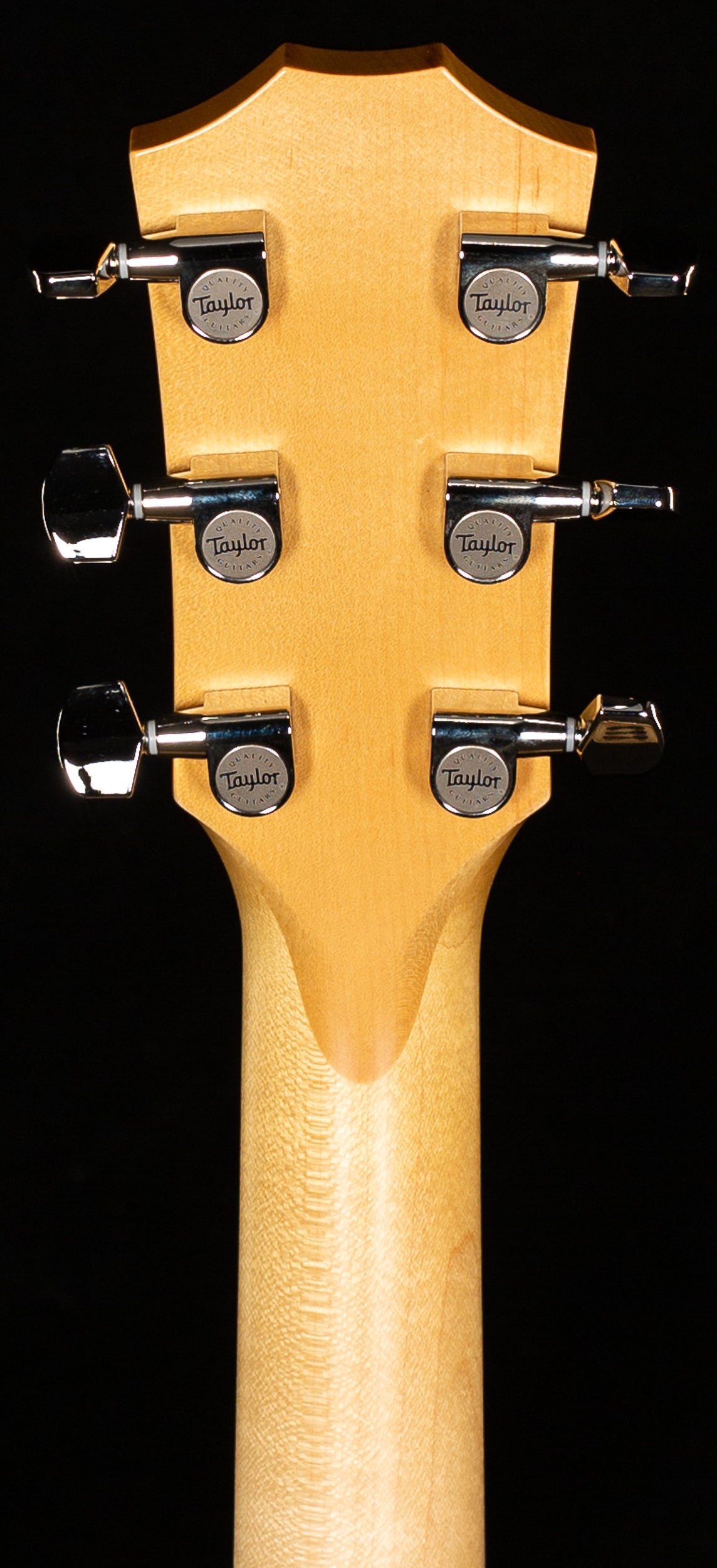 Taylor 618e Grand Orchestra V-Class Bracing (029)