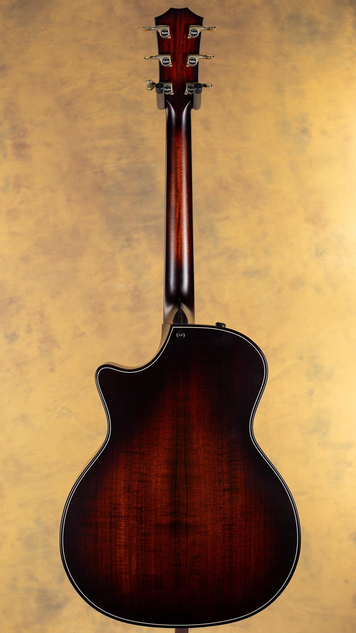 2024 Taylor Builder's Edition 314ce LTD Ash/Sitka, 50th Anniversary