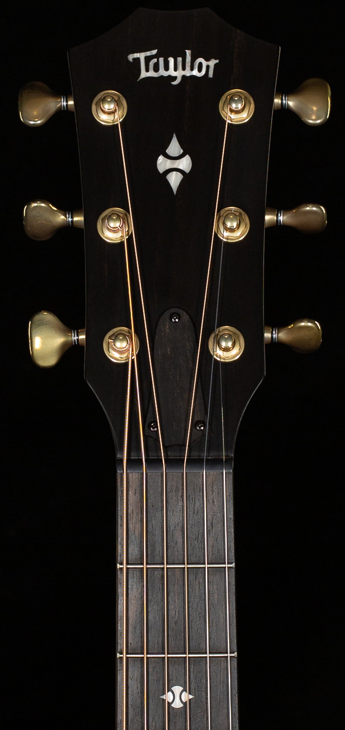 Taylor Builder's Edition 314ce LTD Ash/Sitka, 50th Anniversary (005)