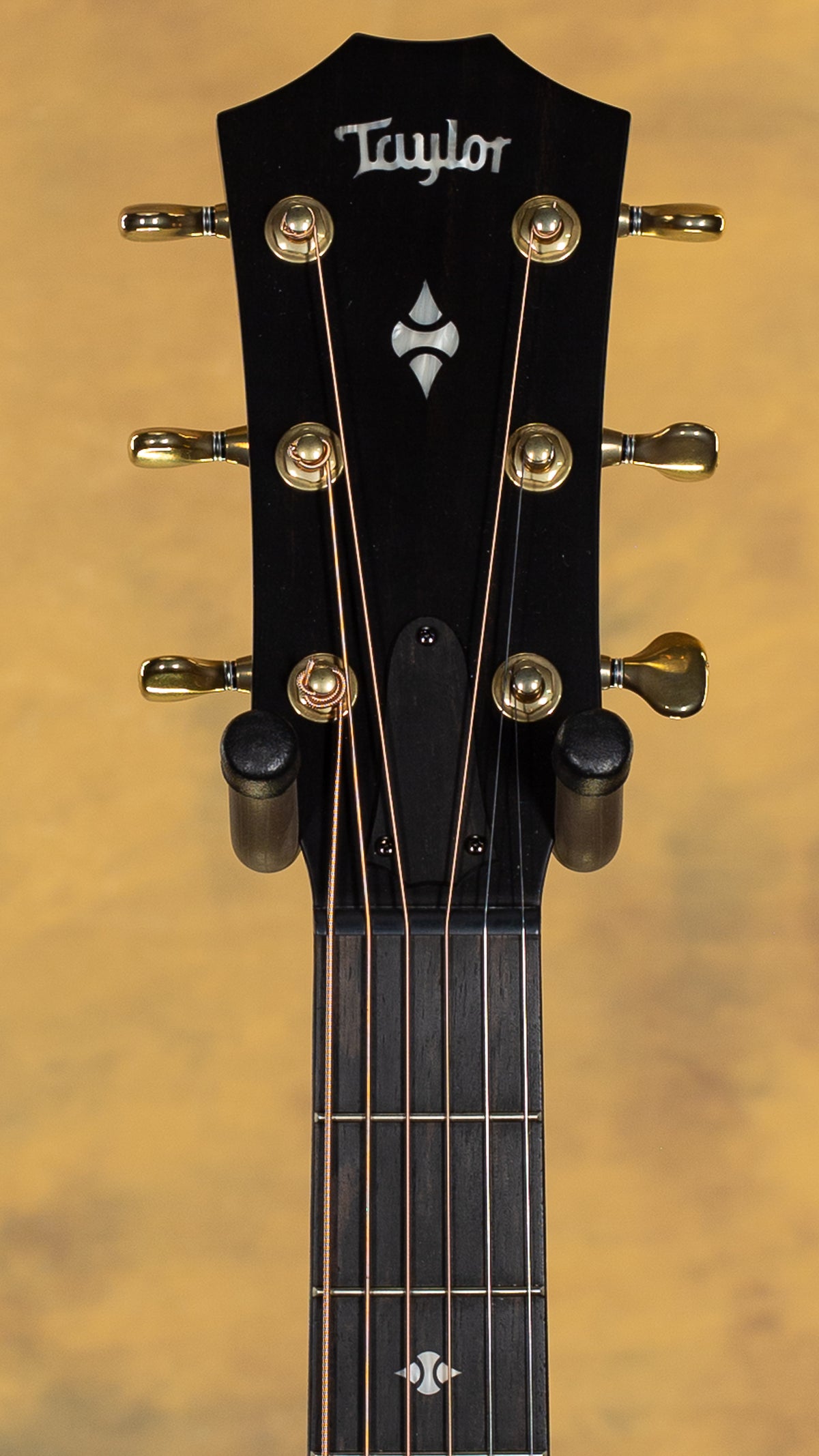2024 Taylor Builder's Edition 314ce LTD Ash/Sitka, 50th Anniversary