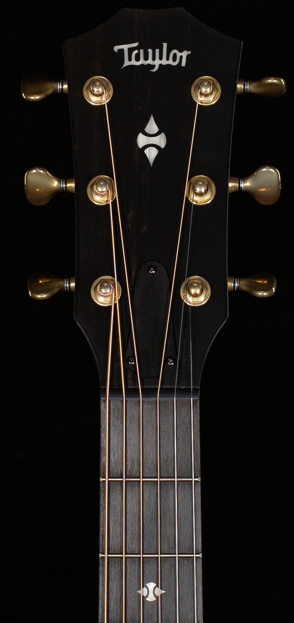 Taylor Builder&#39;s Edition 314ce LTD Ash/Sitka 50th Anniversary Kona Burst Top (012)