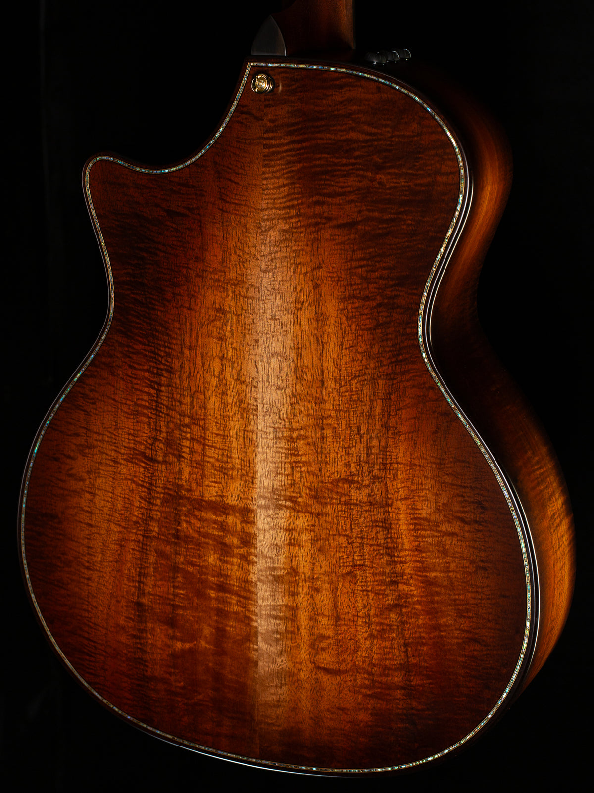 Taylor Builder&#39;s Edition K24ce (079)