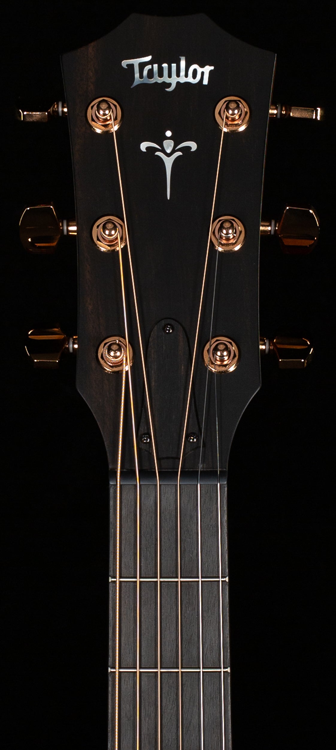 Taylor 724ce Koa (078)