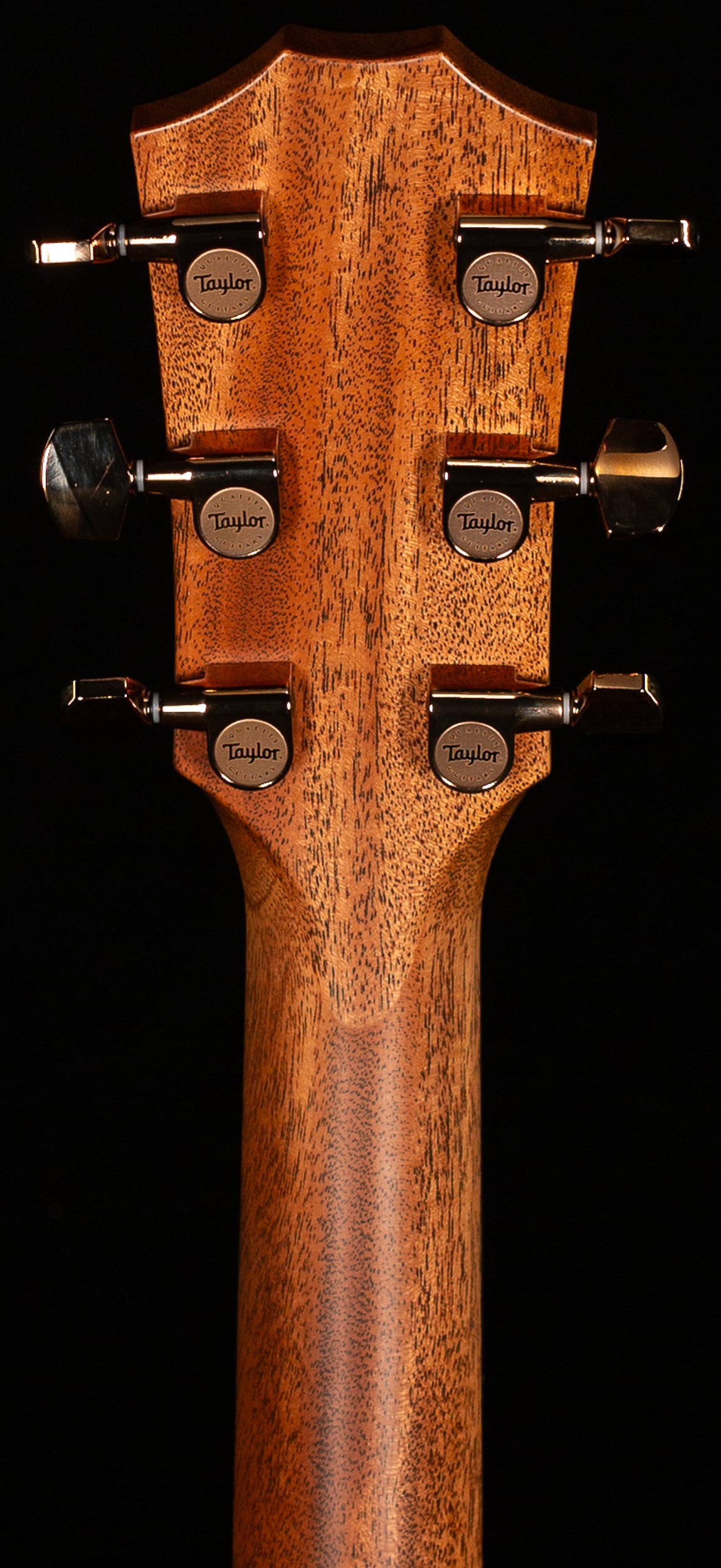 Taylor 724ce Koa (078)