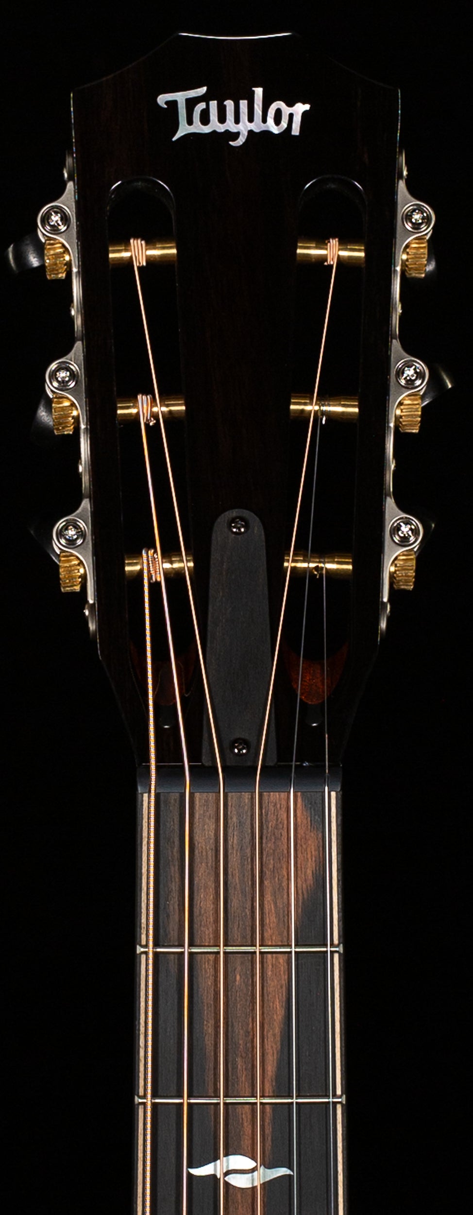 Taylor 812ce 12-Fret Grand Concert (016)