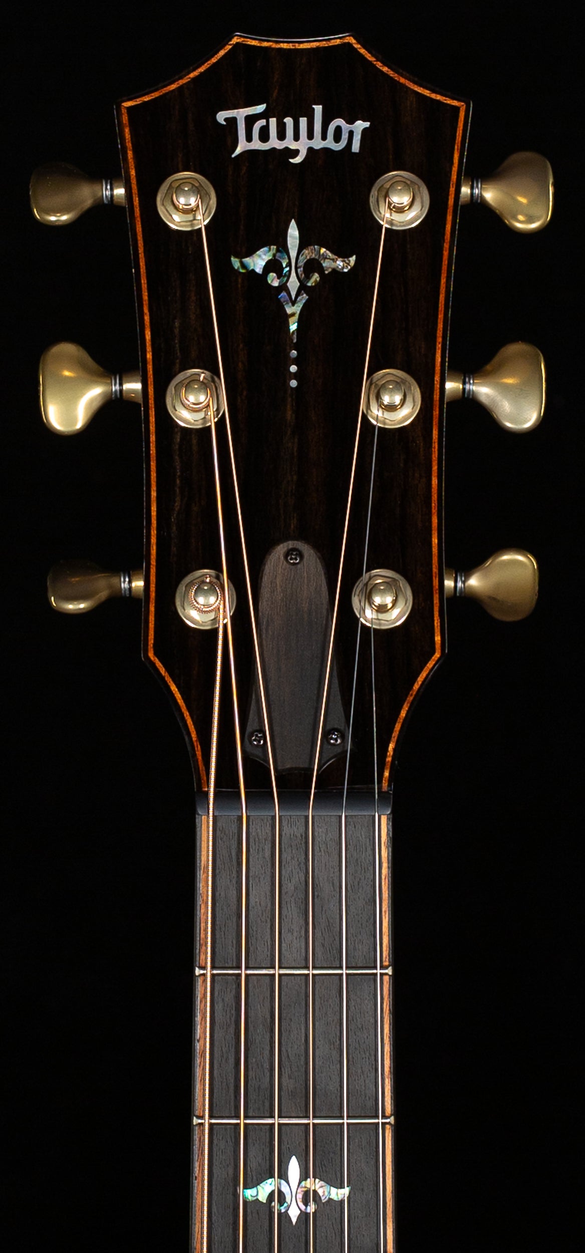 Taylor Builder's Edition 914ce Honduran Rosewood/Sinker Redwood (027)
